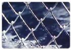 Chain Link Fence